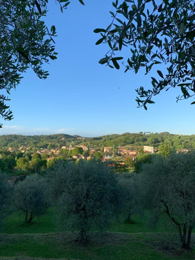 Marziani Rustic Tuscan House Capannori Exterior foto