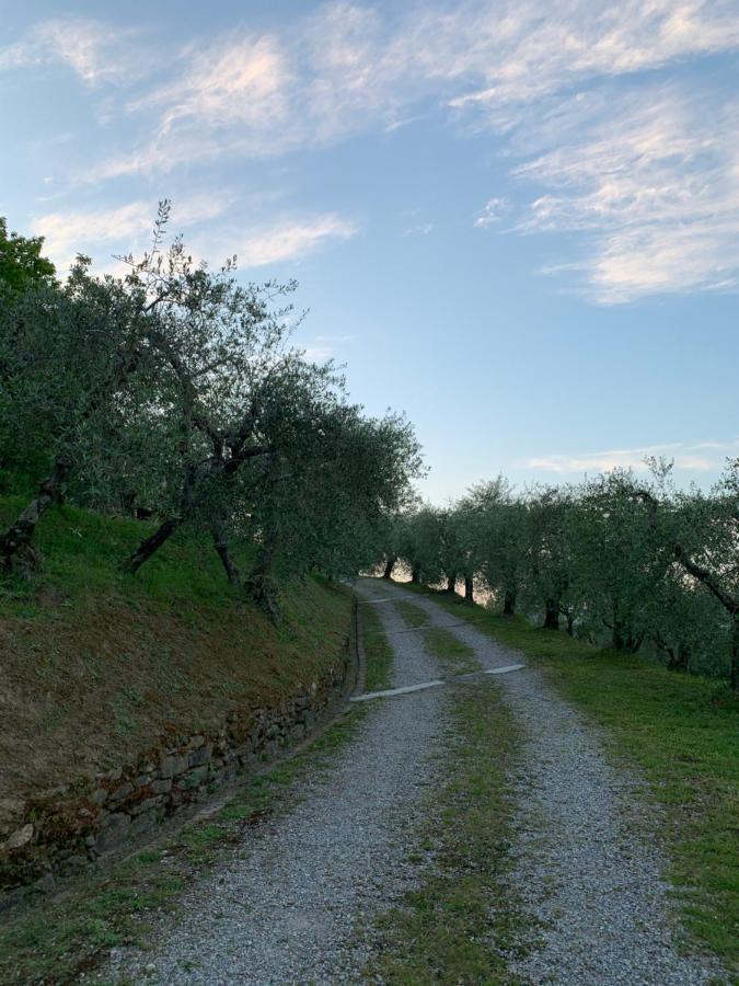 Marziani Rustic Tuscan House Capannori Exterior foto