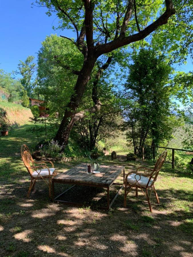 Marziani Rustic Tuscan House Capannori Exterior foto